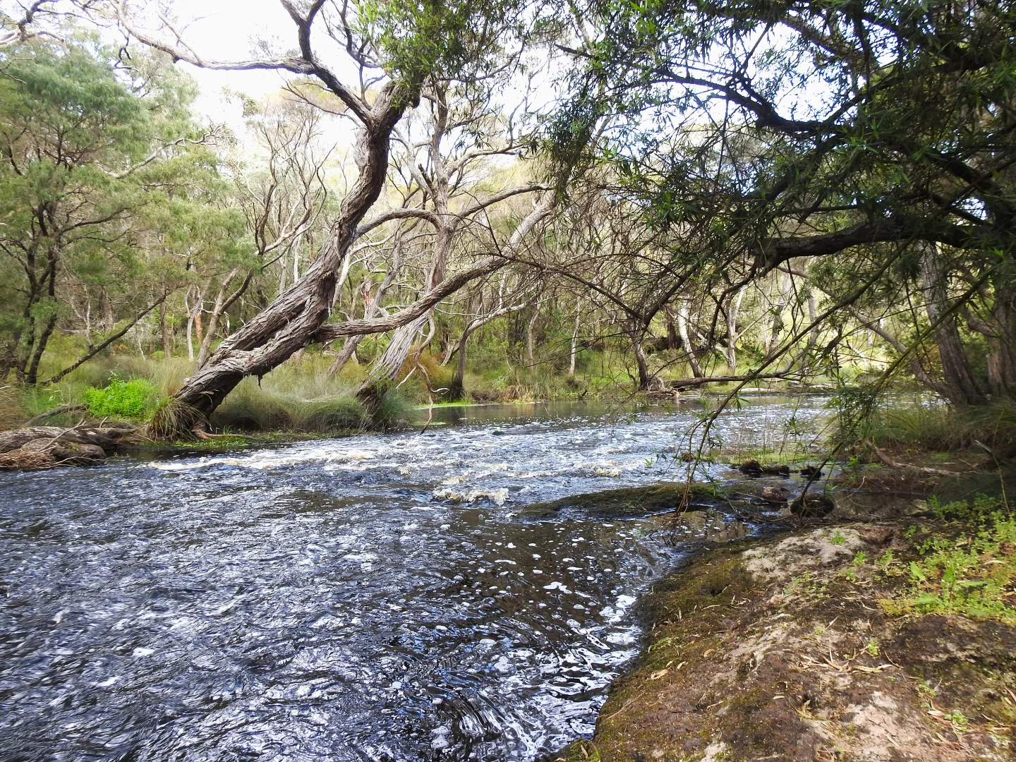 Additional image 23 of 1181 Scott River Road, Scott River WA 6288