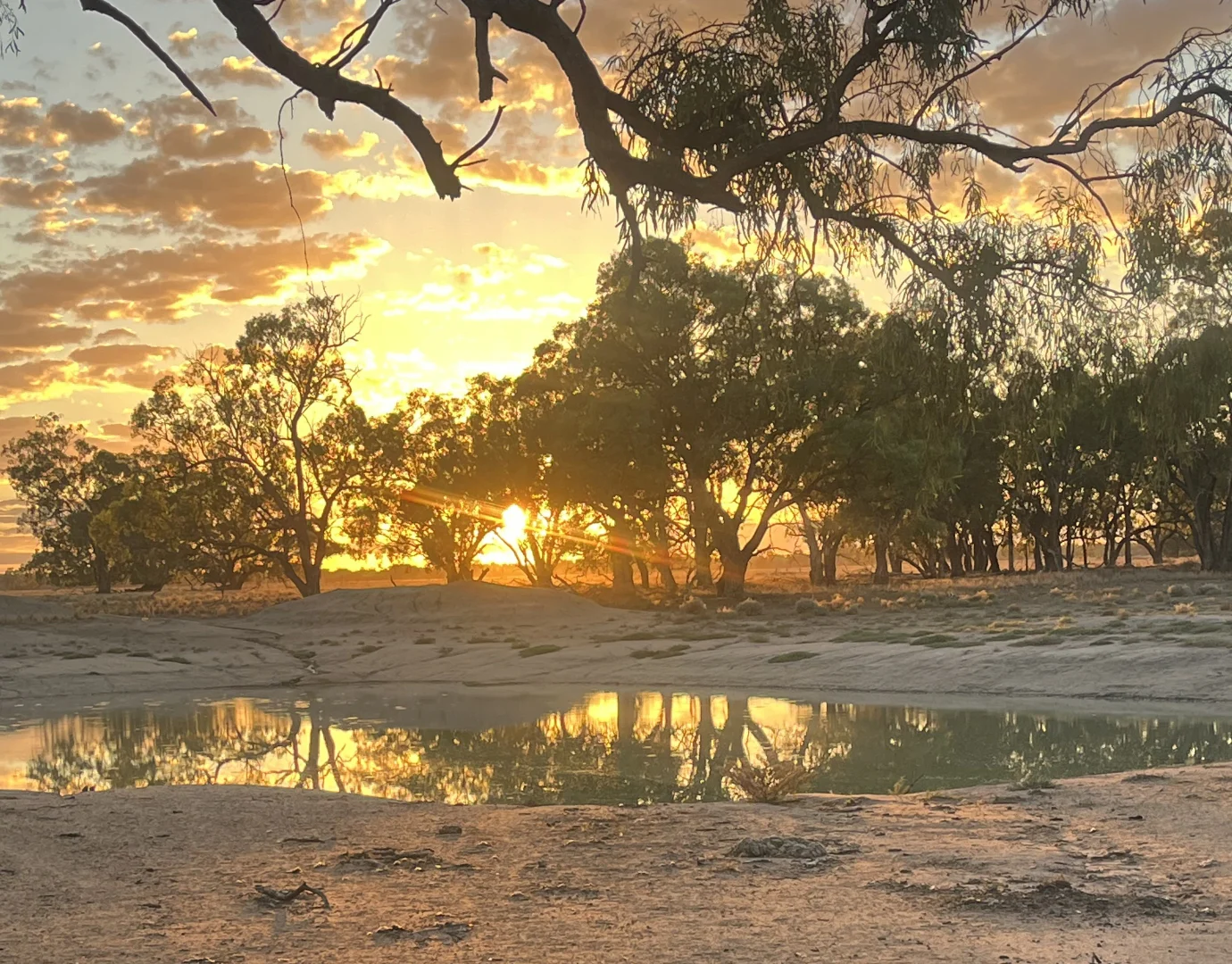 Additional image 17 of Warren NSW 2824