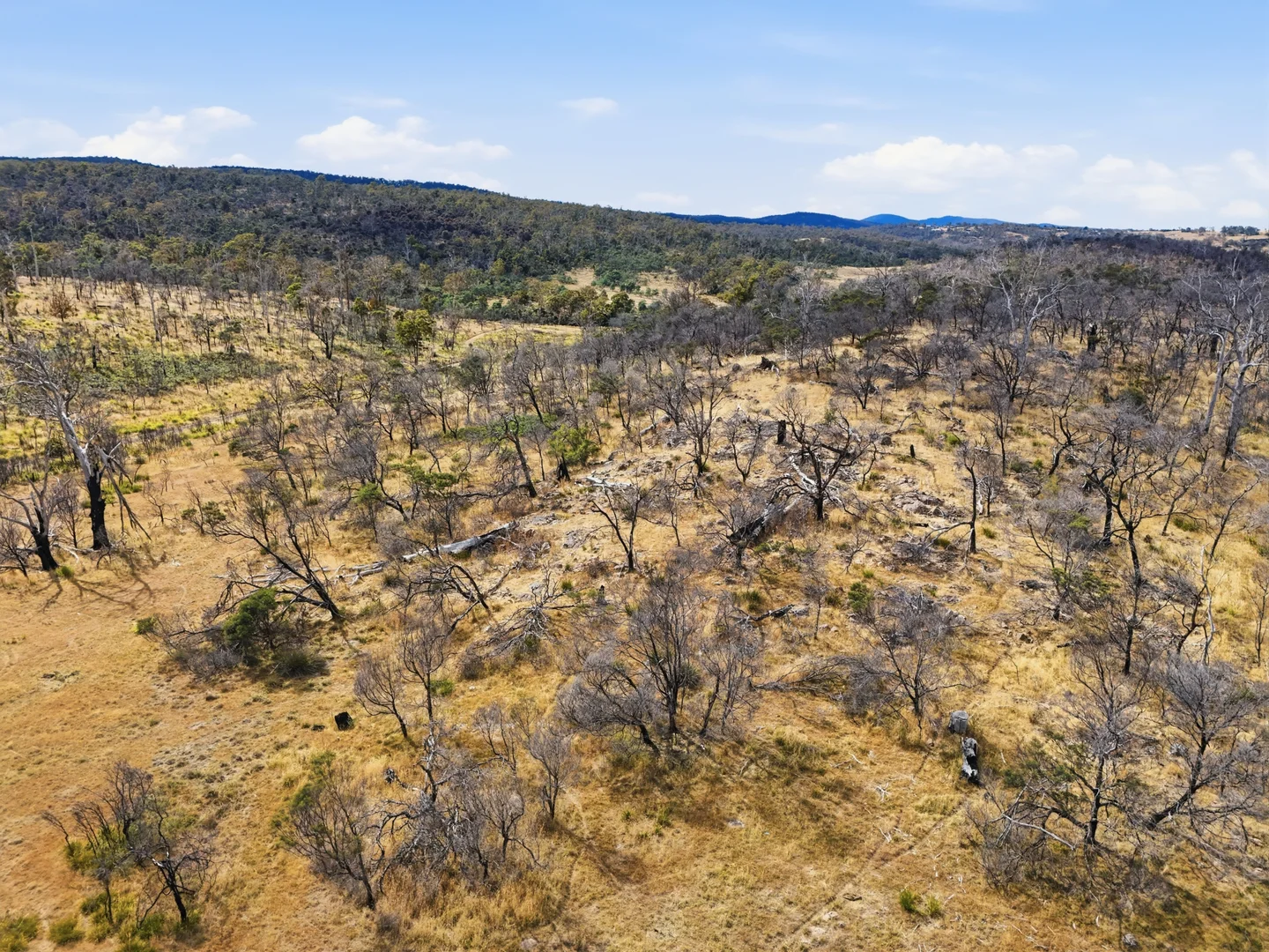 Additional image 23 of 75 Prossers Forest Road, Ravenswood TAS 7250