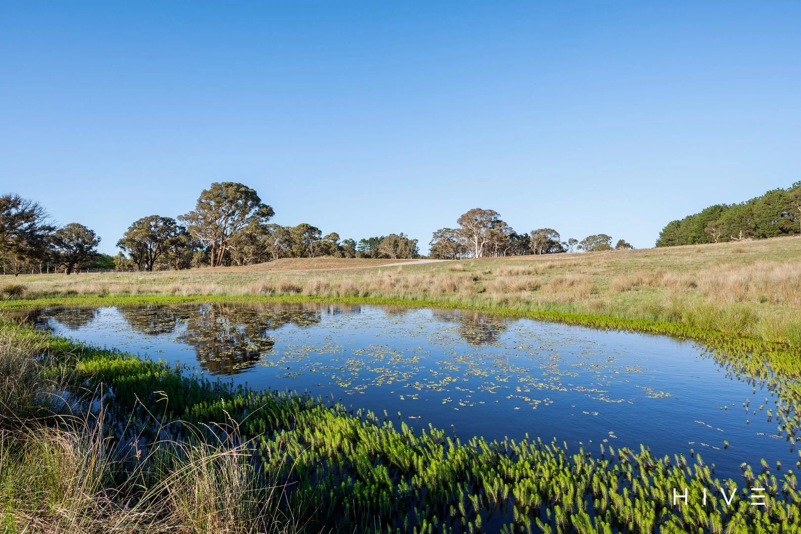 Additional image 6 of 8 Creekborough Road, Bywong NSW 2621