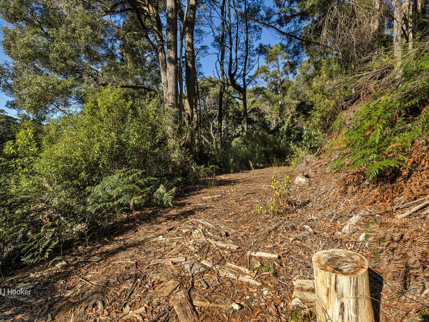 Additional image 5 of 0 Pages Road, Moorleah TAS 7325