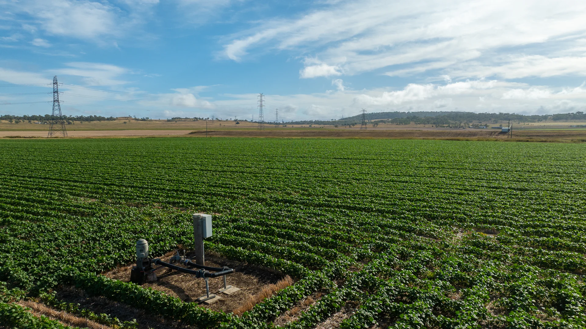 Additional image 27 of "Wanstead" 391 Cudmore Road, Cambooya QLD 4358