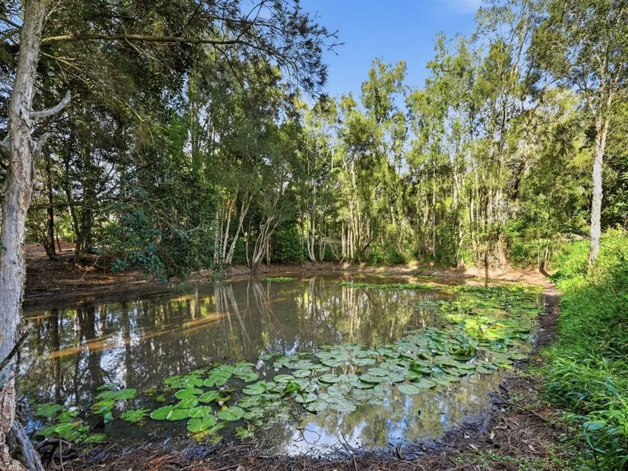 Additional image 6 of Lot 2 Uriti Road, North Macksville NSW 2447