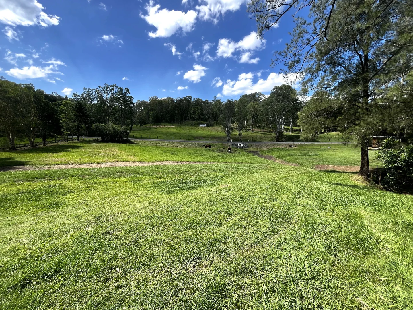 Additional image 19 of 1254 Afterlee Road, Kyogle NSW 2474