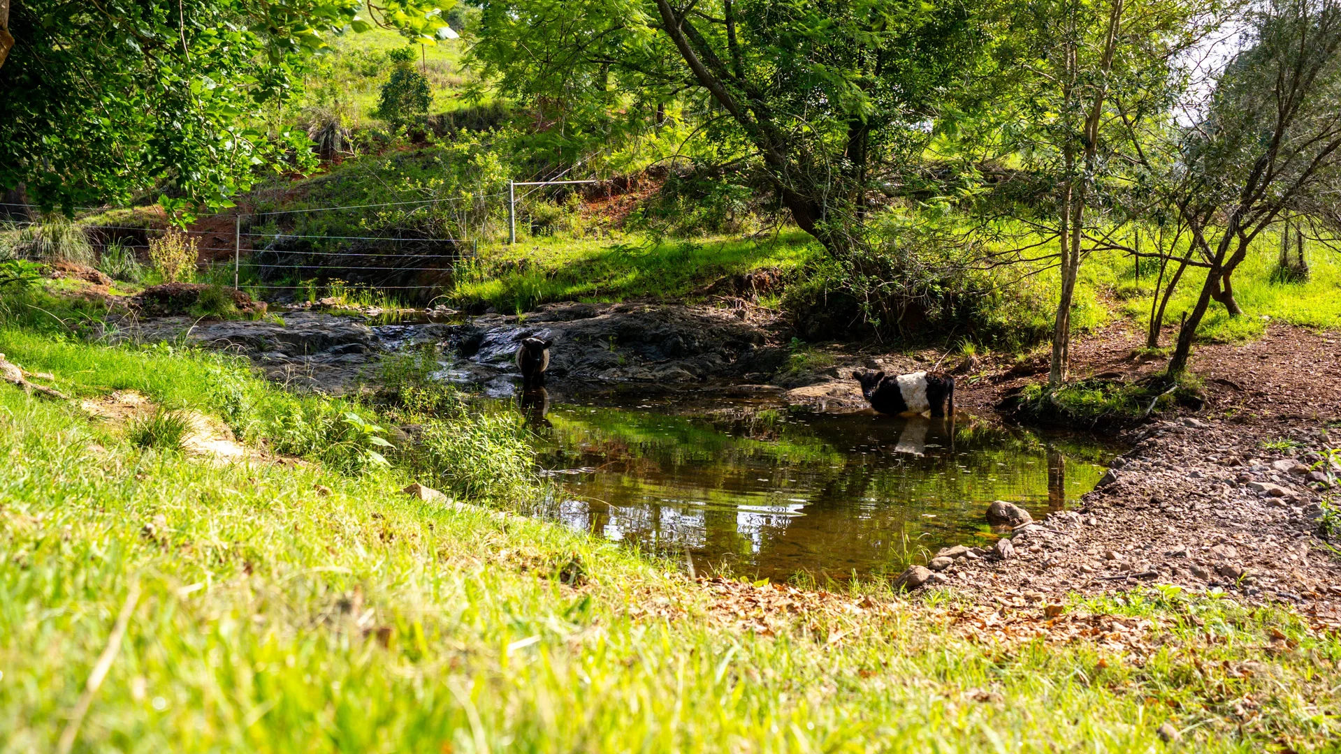 Additional image 5 of Wherrol Flat NSW 2429