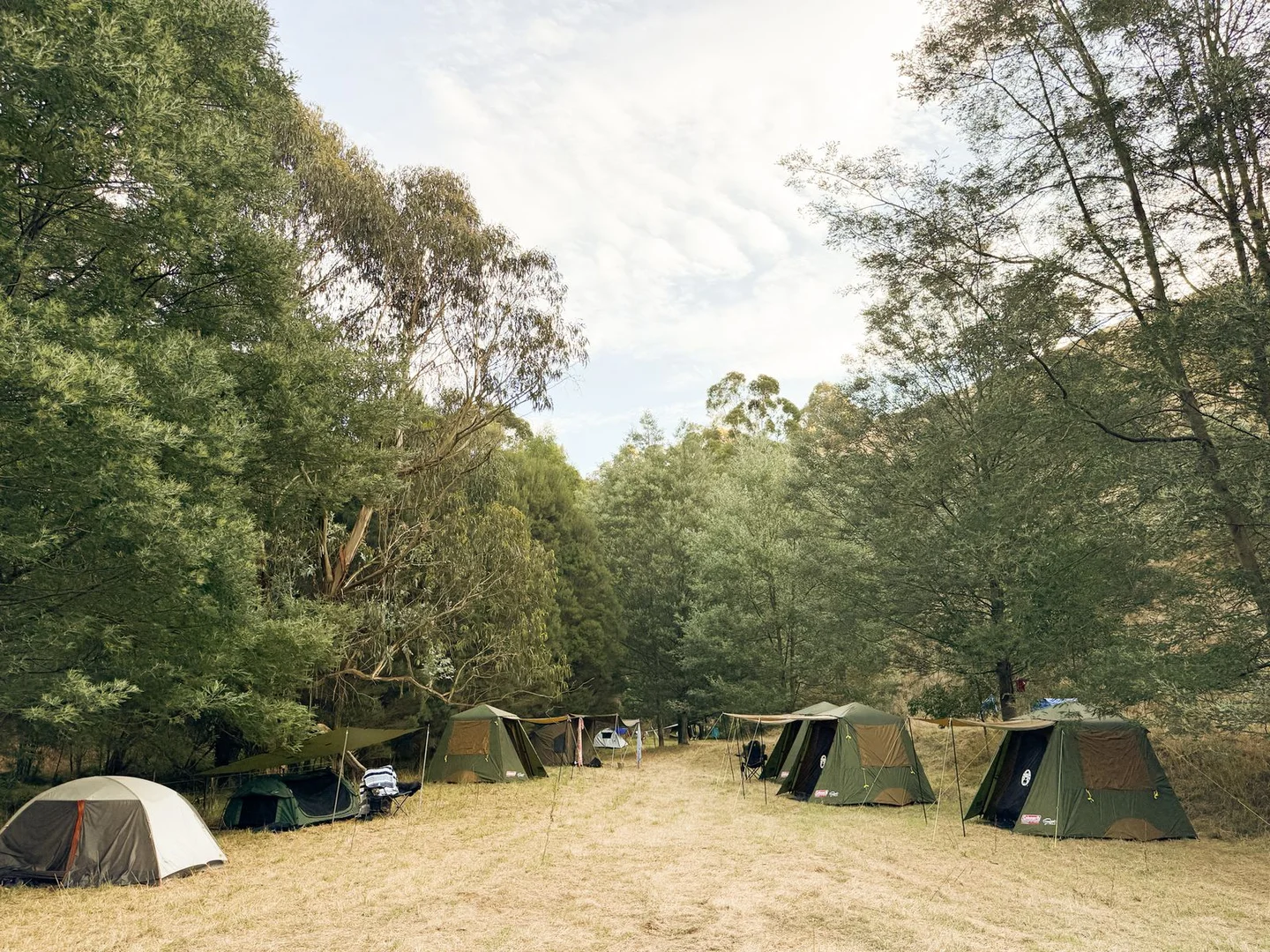 Additional image 16 of 1725 Wild Dog Valley, Strzelecki VIC 3950