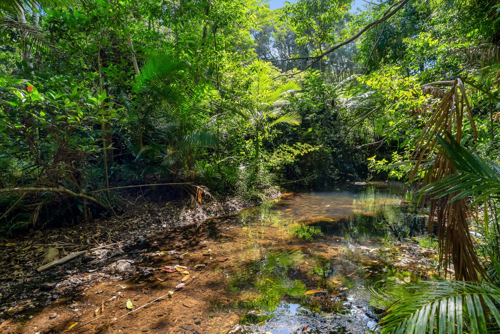 Additional image 15 of 3 Williamson Drive, Kuranda QLD 4881