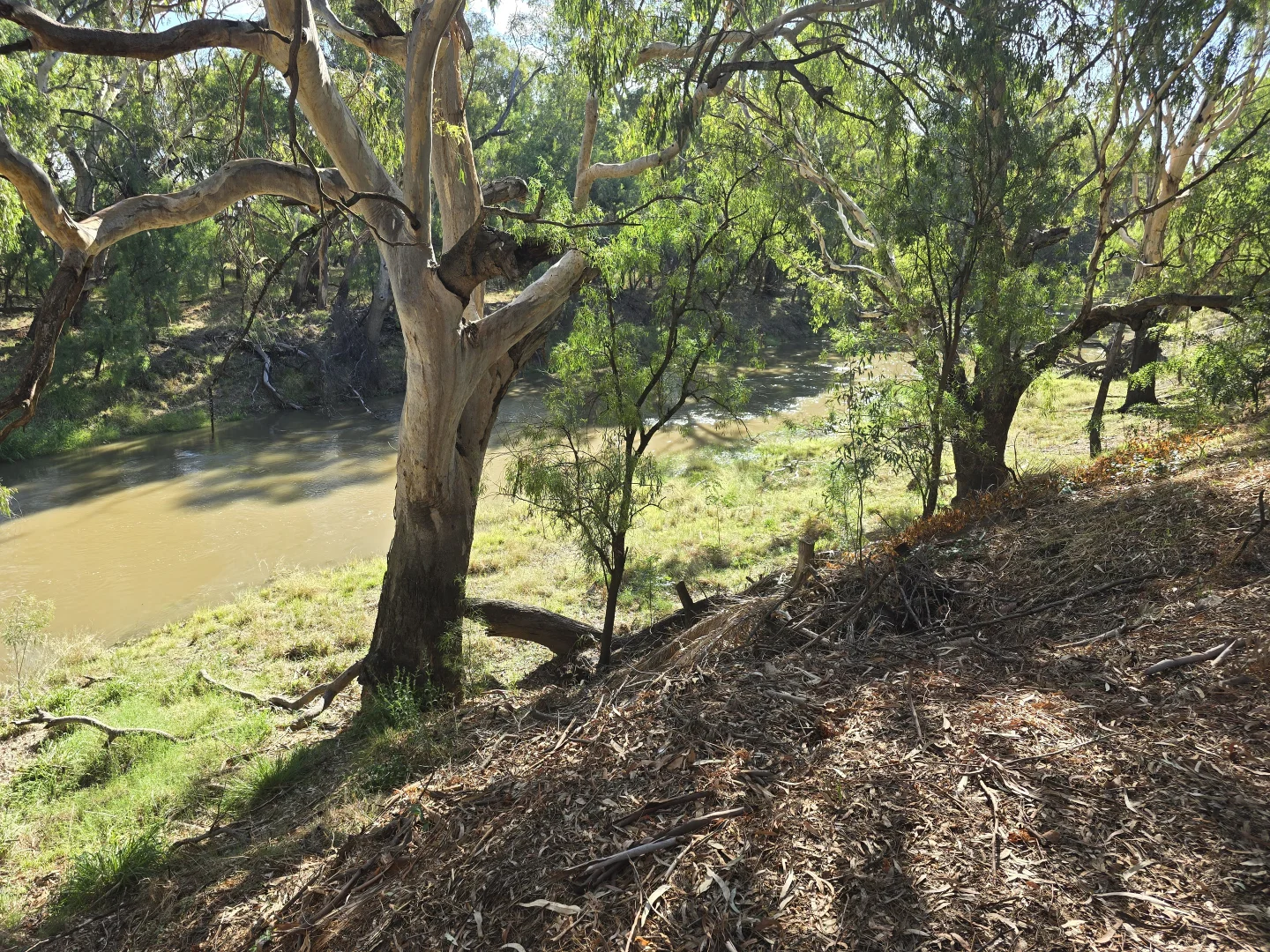 Additional image 22 of 9 Graf Street, Condobolin NSW 2877