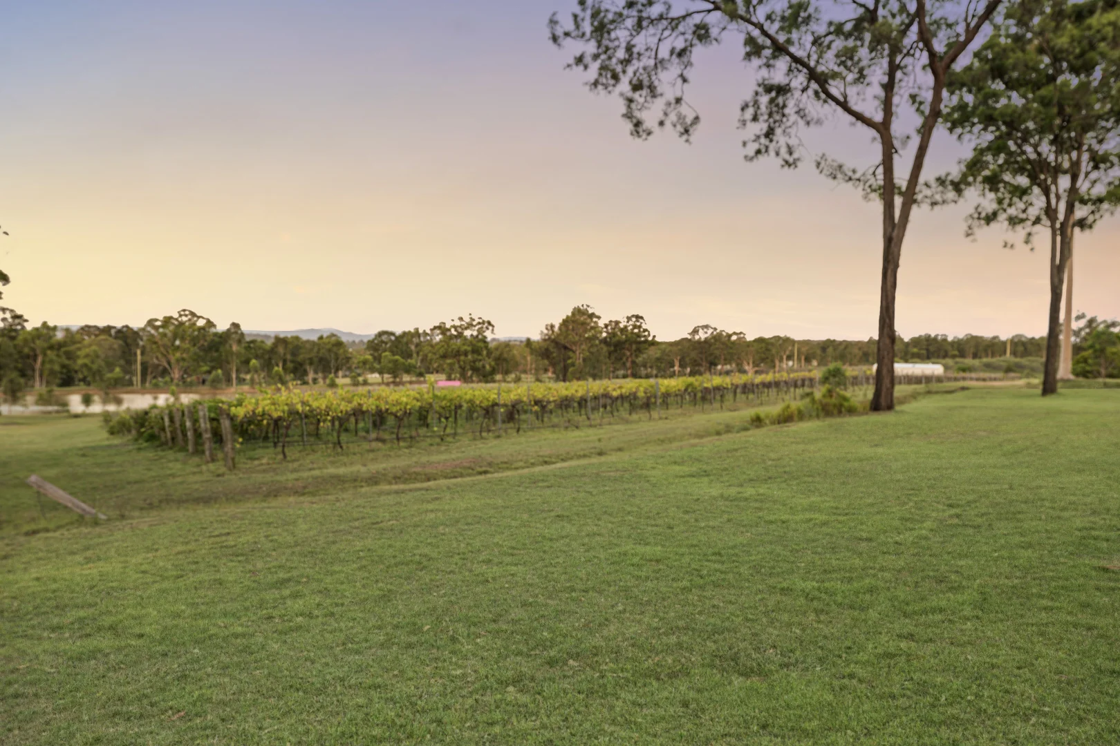 Additional image 40 of 356 Tuckers Lane, Greta NSW 2334