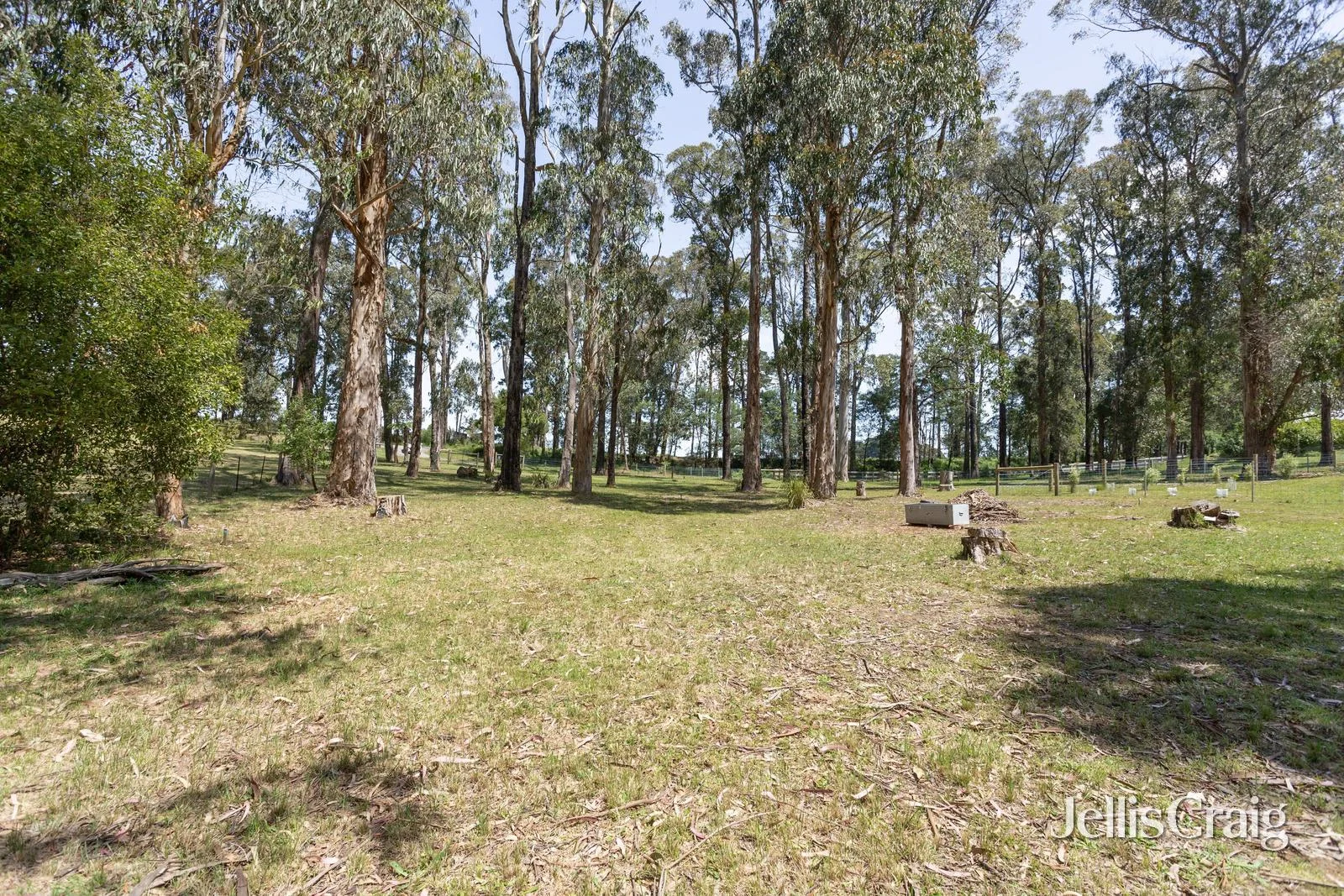 Additional image 3 of 852 Whittlesea-Kinglake Road, Kinglake West VIC 3757