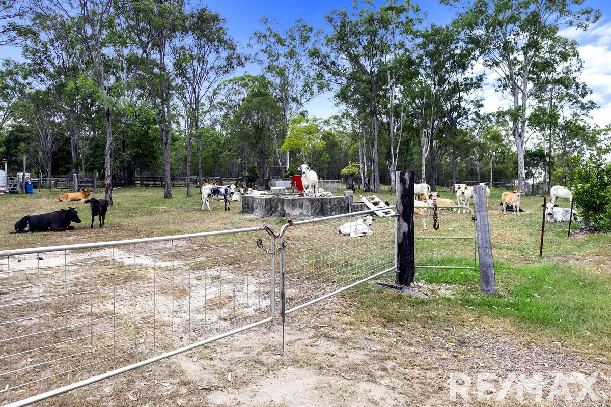 Additional image 5 of Two Thirty Two Road, Duckinwilla QLD 4650