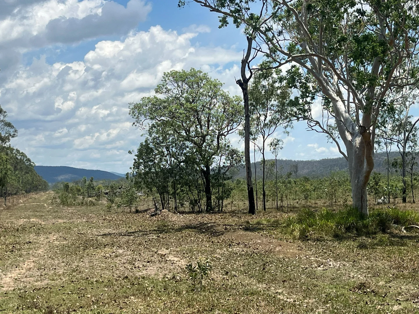 Additional image 28 of Blunder Park Station 382 Blunder Park Road, Ravenshoe QLD 4888