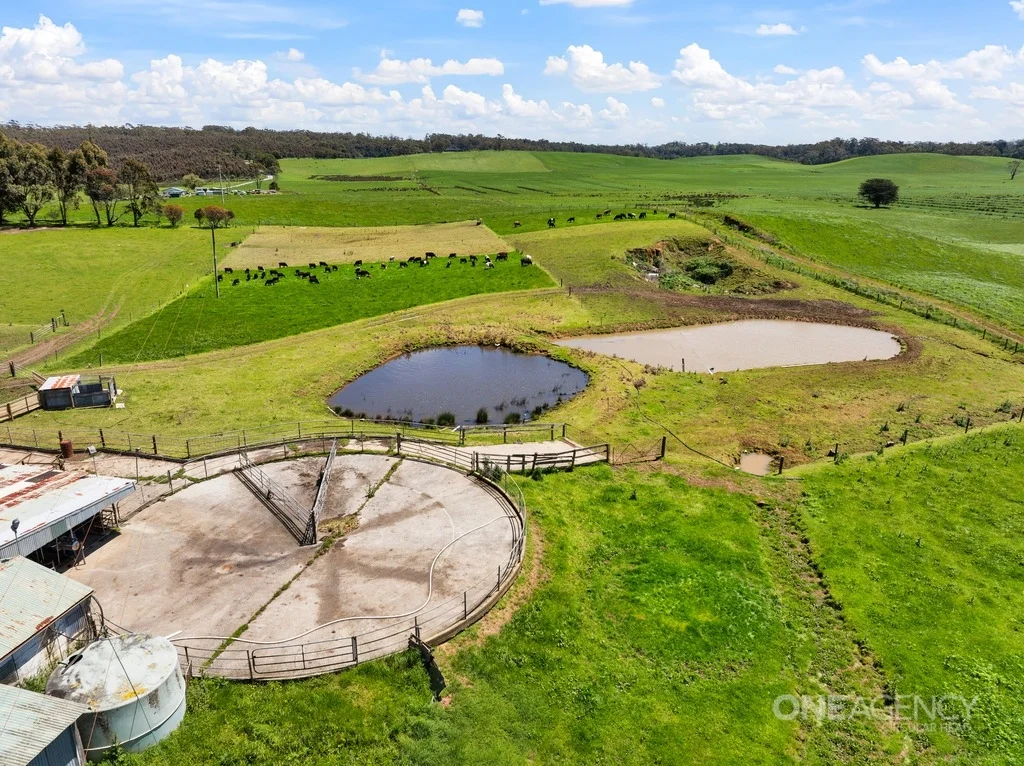 Additional image 15 of 108 Mclachlans Road, Irishtown TAS 7330