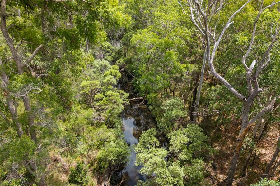 Additional image 8 of 1 Perch Road, Wells Crossing NSW 2460