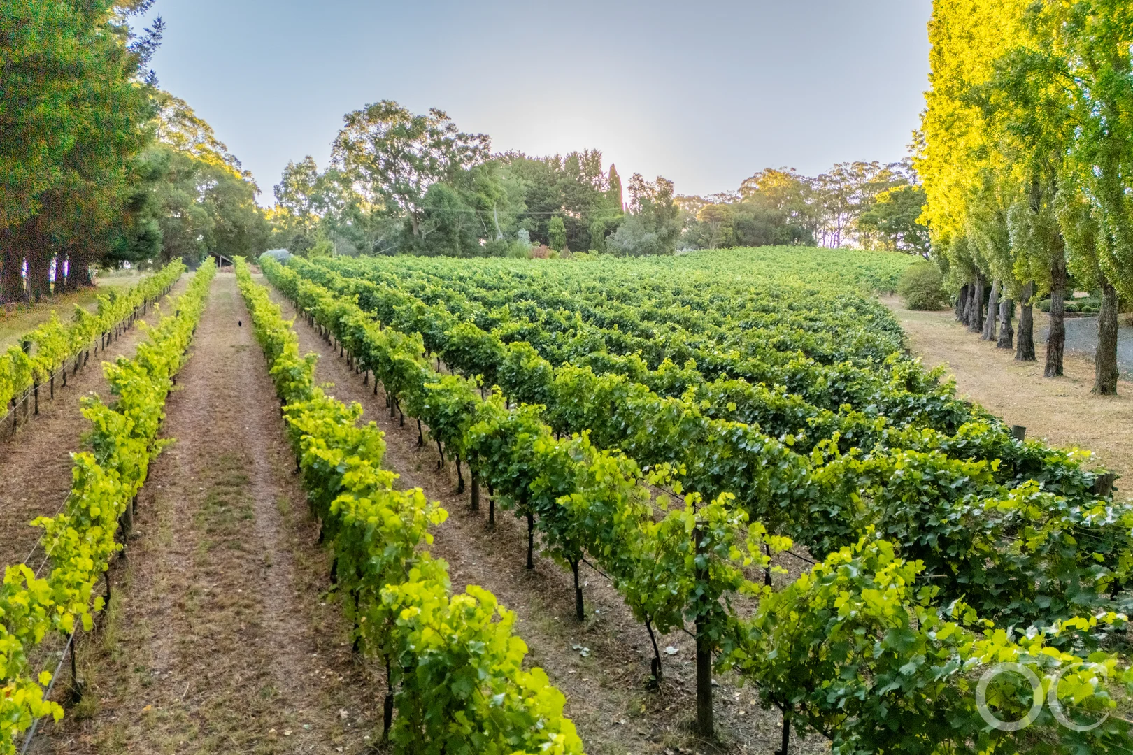 Additional image 27 of 143 Woods Hill Road, Ashton SA 5137