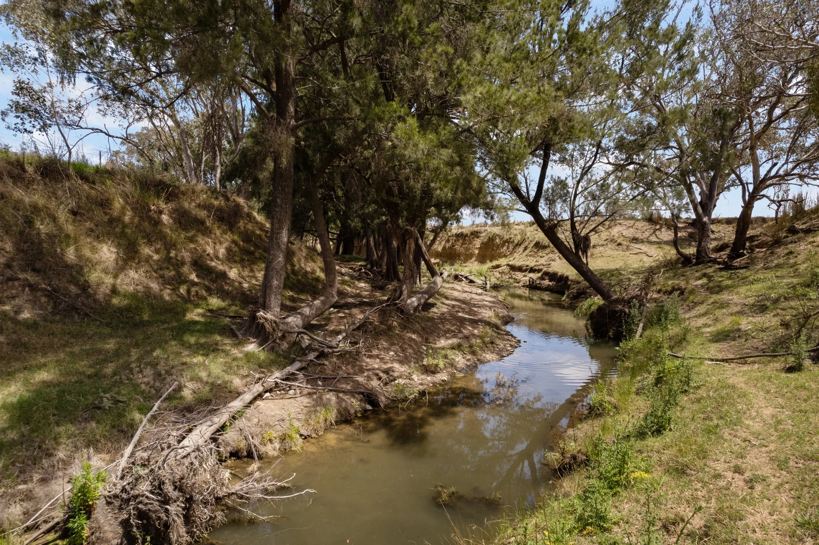 Additional image 15 of 123 Norlenbah Road, Mudgee NSW 2850