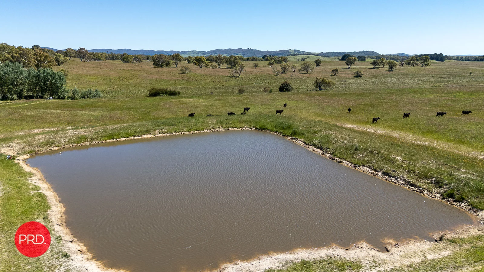 Additional image 15 of 2287 Bungendore Road, Tarago NSW 2580