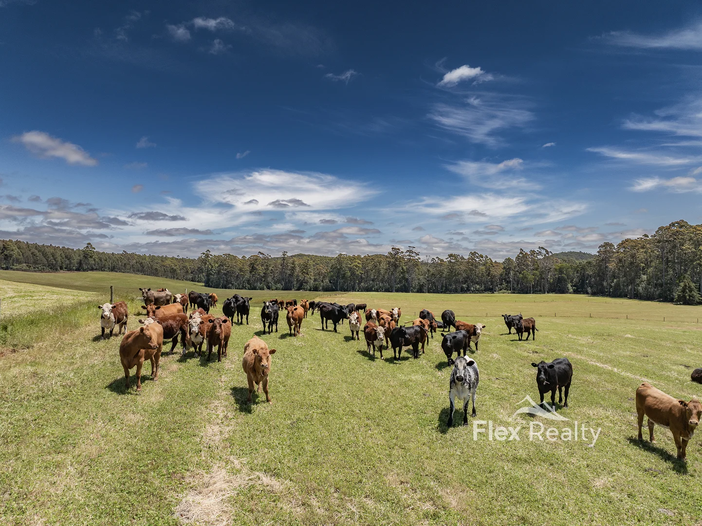 Additional image 41 of 0 Newhaven Road, Mawbanna TAS 7321