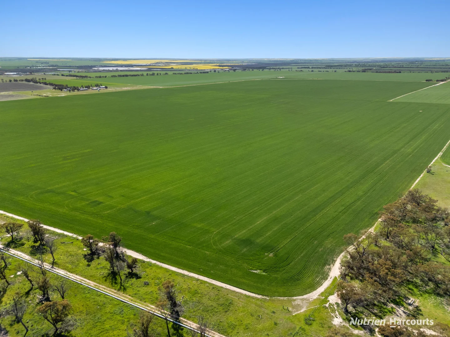 Additional image 3 of . 'Lydford' and 'Lees', Dowerin WA 6461