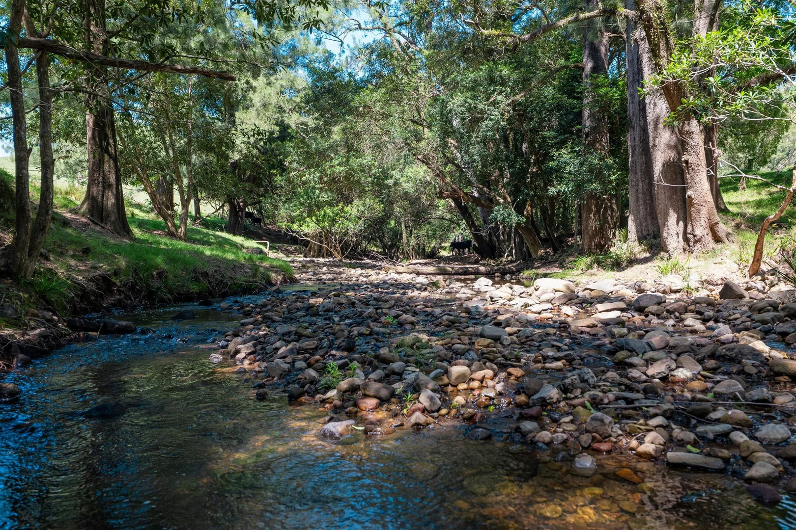 Additional image 17 of 321 Masseys Creek Road, Eccleston NSW 2311