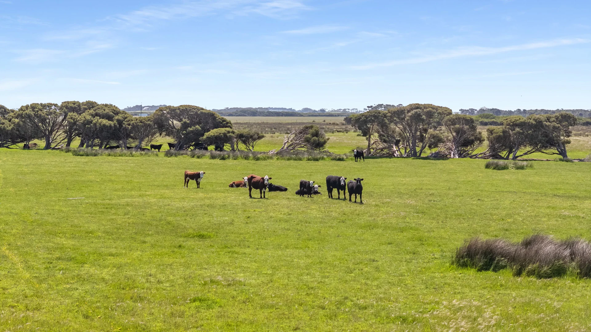 Additional image 18 of 701 Nora Creina Road, Robe SA 5276