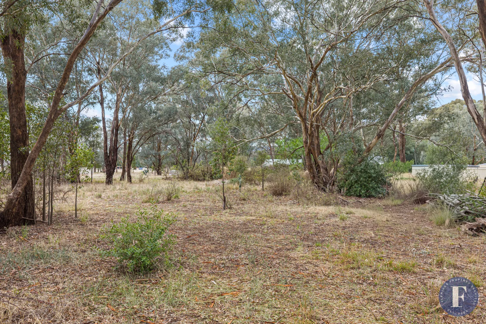 Additional image 3 of 29 Lachlan Street, Koorawatha NSW 2807