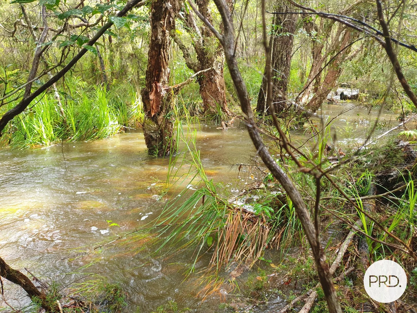Additional image 38 of 359 Herons Creek Road, Herons Creek NSW 2439
