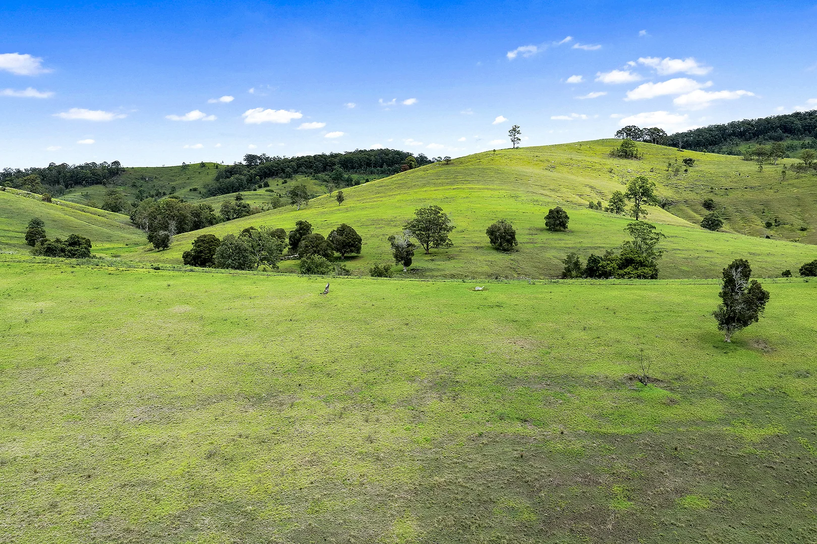 Additional image 17 of Lot 2 2135 The Bucketts Way, Wards River NSW 2422