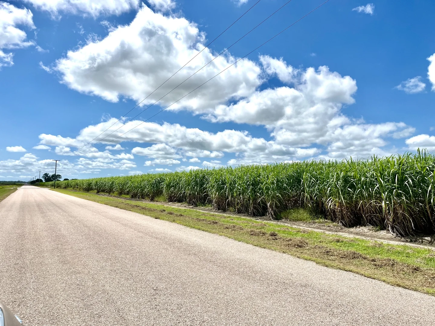 Additional image 16 of 407 Brown Road, Mona Park QLD 4807