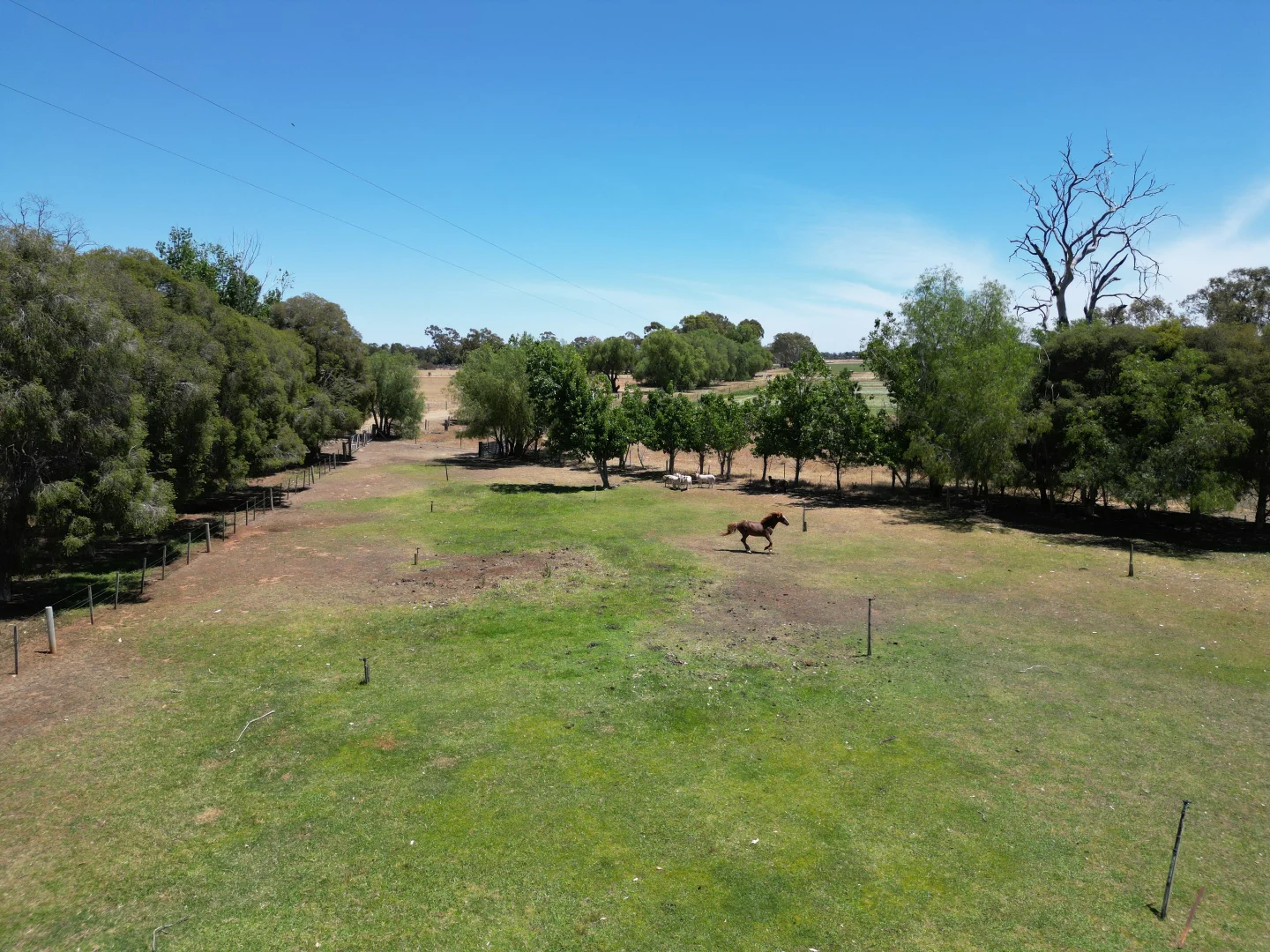 Additional image 32 of 1158 Larissa Rd, Cobram VIC 3644
