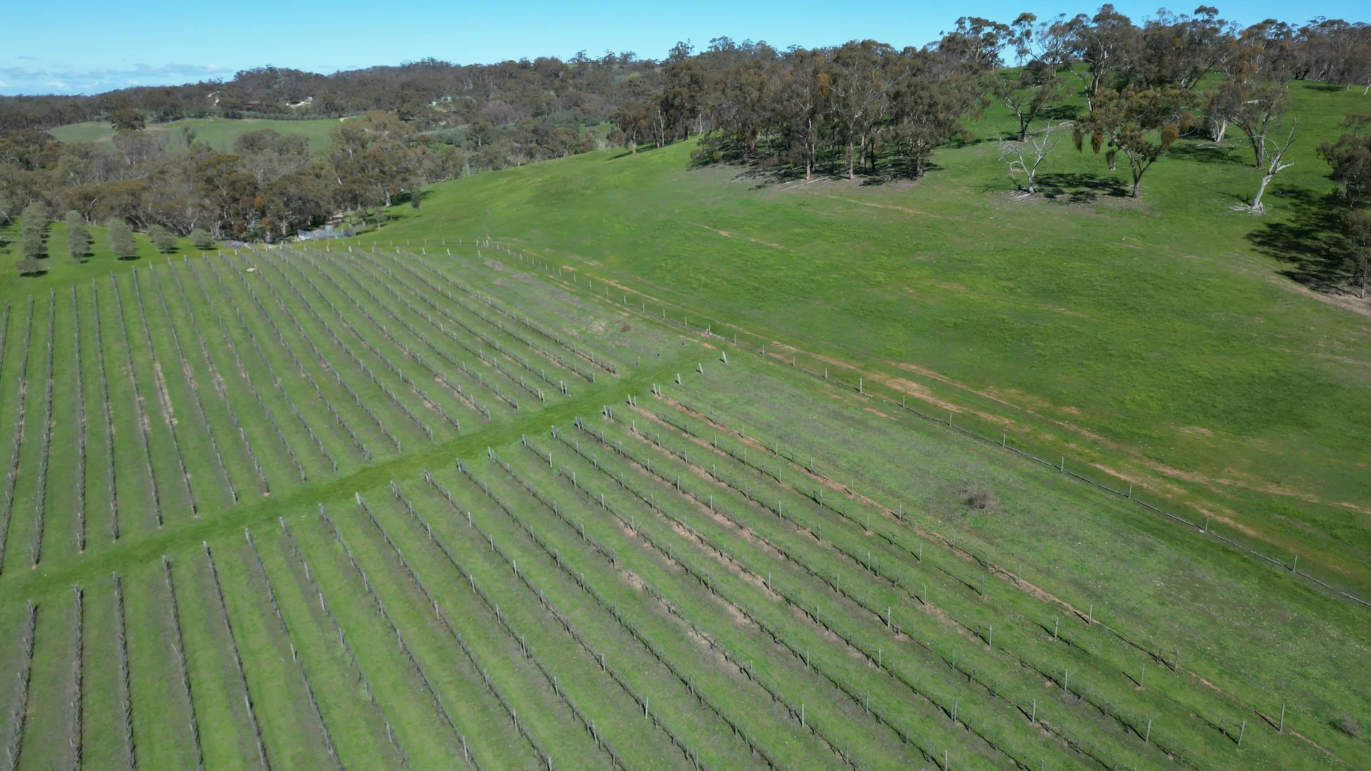 Additional image 6 of Lot 388 McCord Lane, Gillentown SA 5453