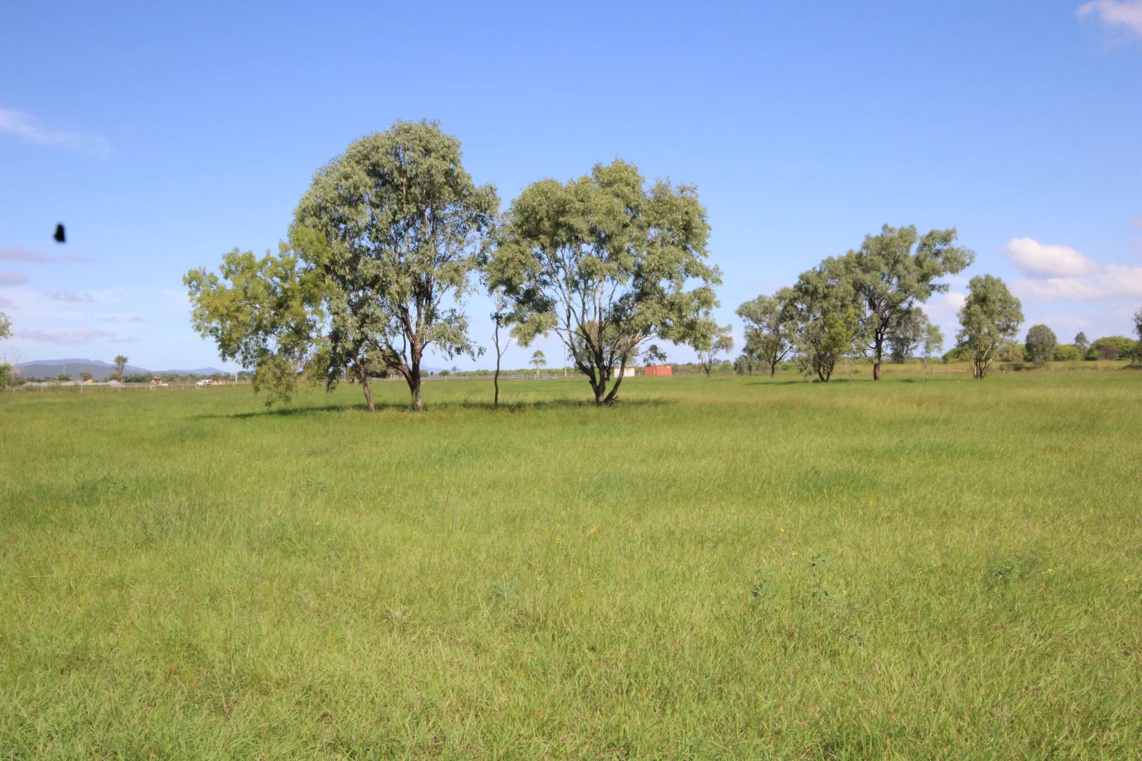 Additional image 16 of 366 GEORGE STREET, Depot Hill QLD 4700