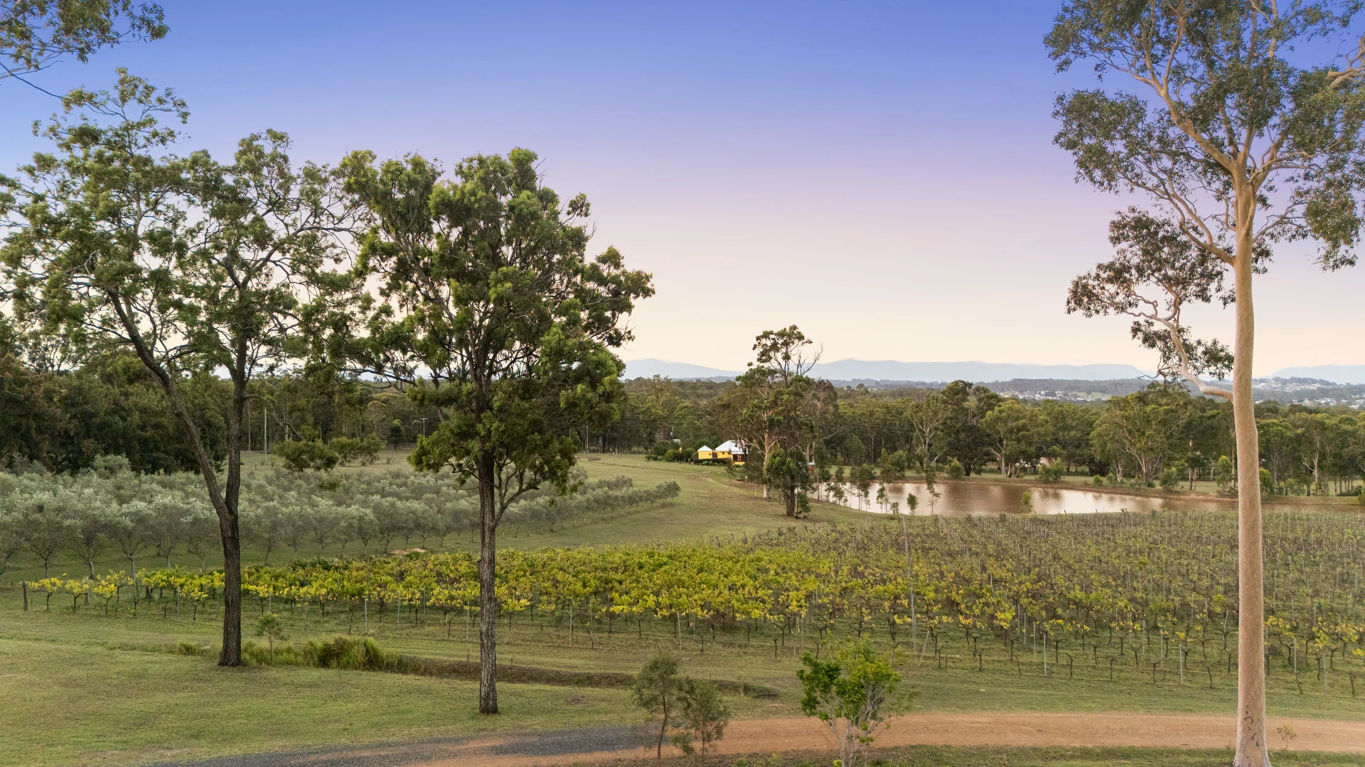 Additional image 7 of 356 Tuckers Lane, Greta NSW 2334