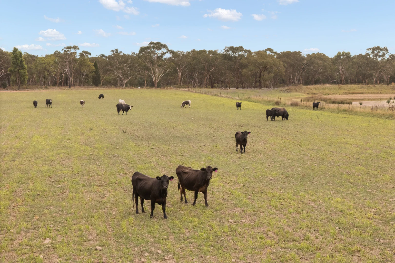 Additional image 23 of 35 Beryl Road, Gulgong NSW 2852