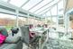 Additional image 3 of Thistle Drive, Whitstable, Kent, CT5