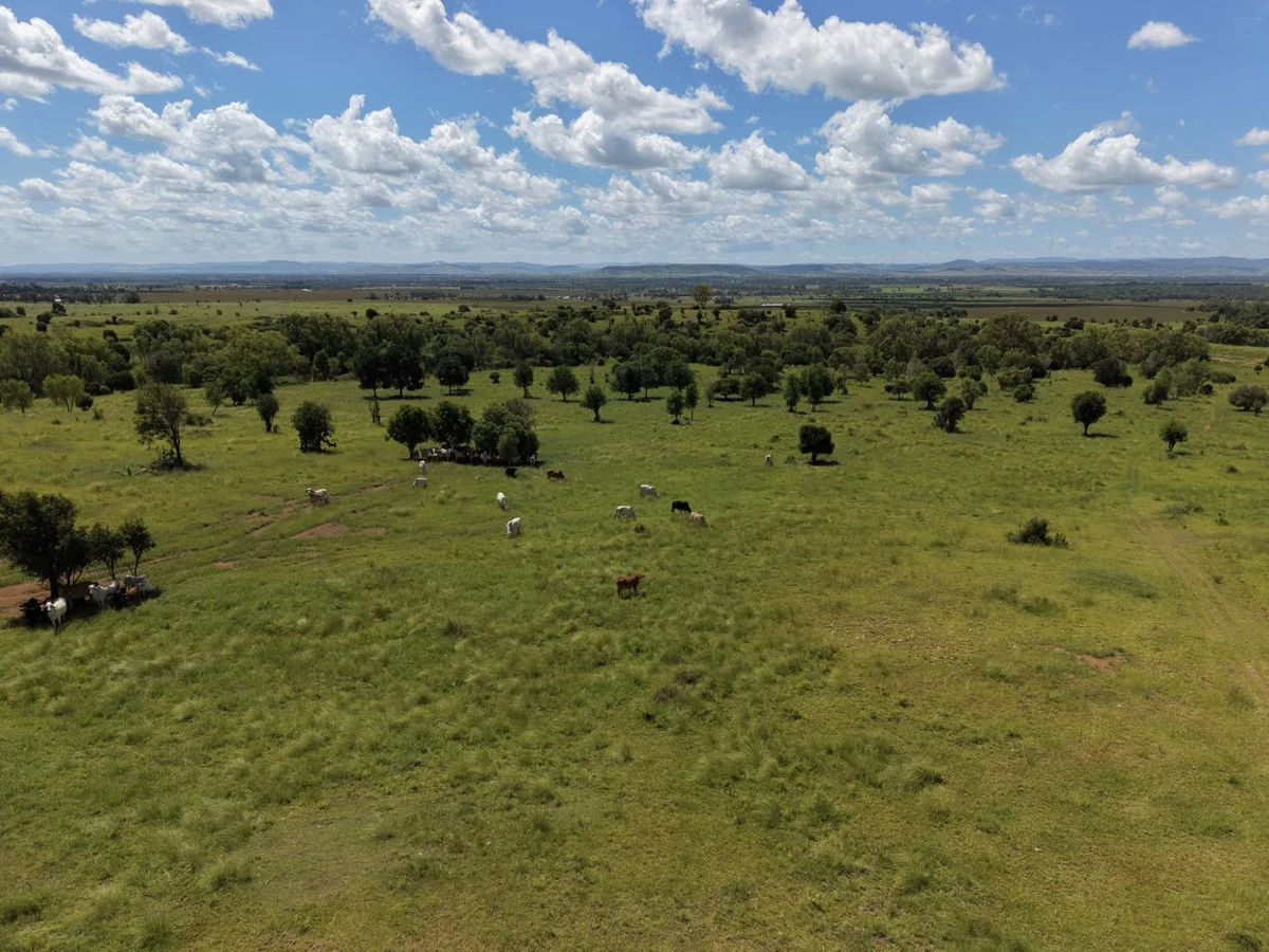 Additional image 27 of "Mustons" Frawleys Road, Thangool QLD 4716