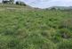 Additional image 9 of Hartington, Buxton
