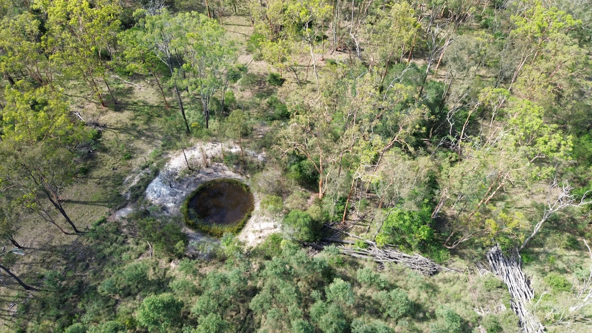 Additional image 8 of 12 Kumbia Road, Ellesmere QLD 4610