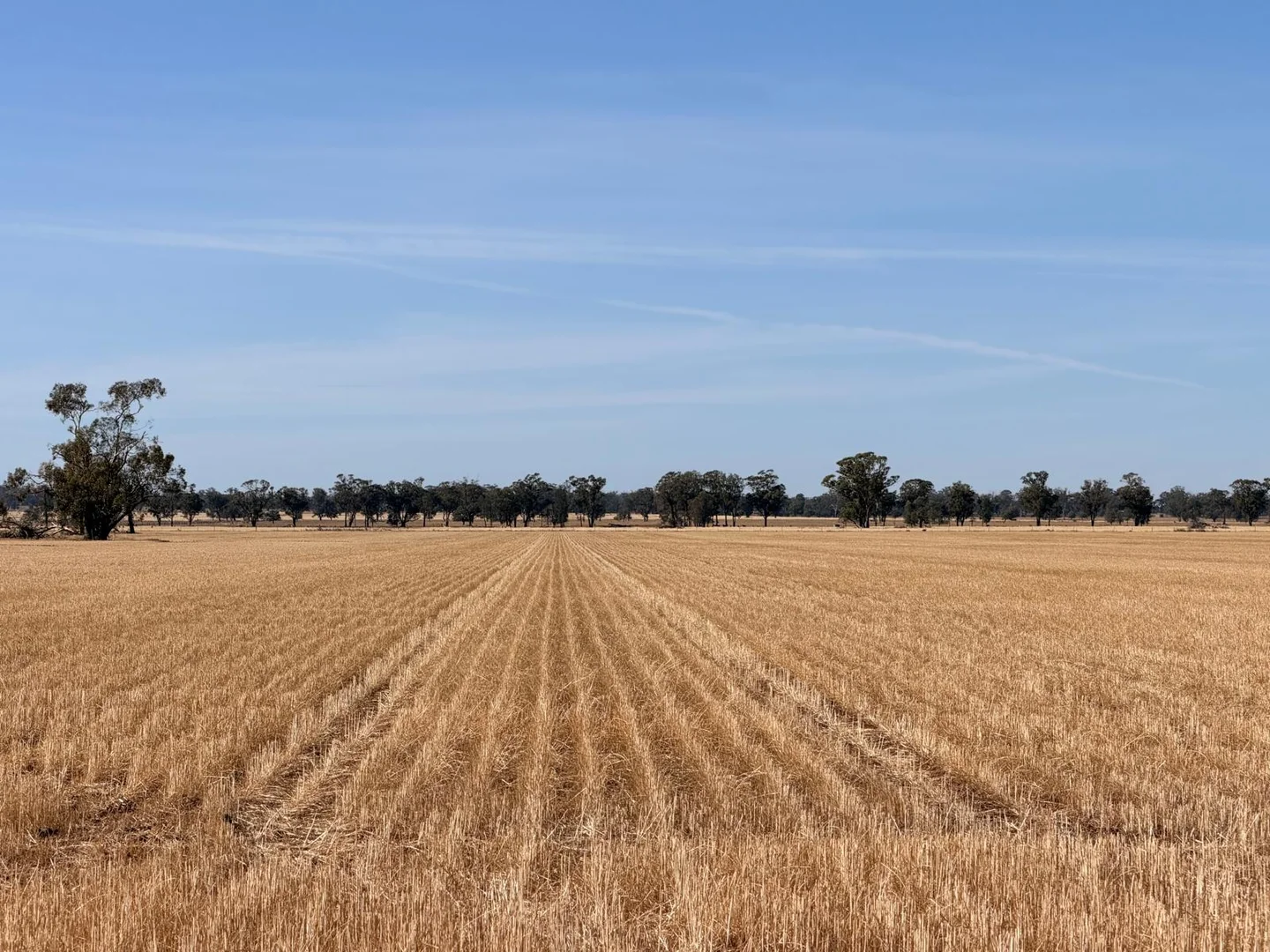 Additional image 4 of Part Woodville Blackstock Hill Road, Peak Hill NSW 2869