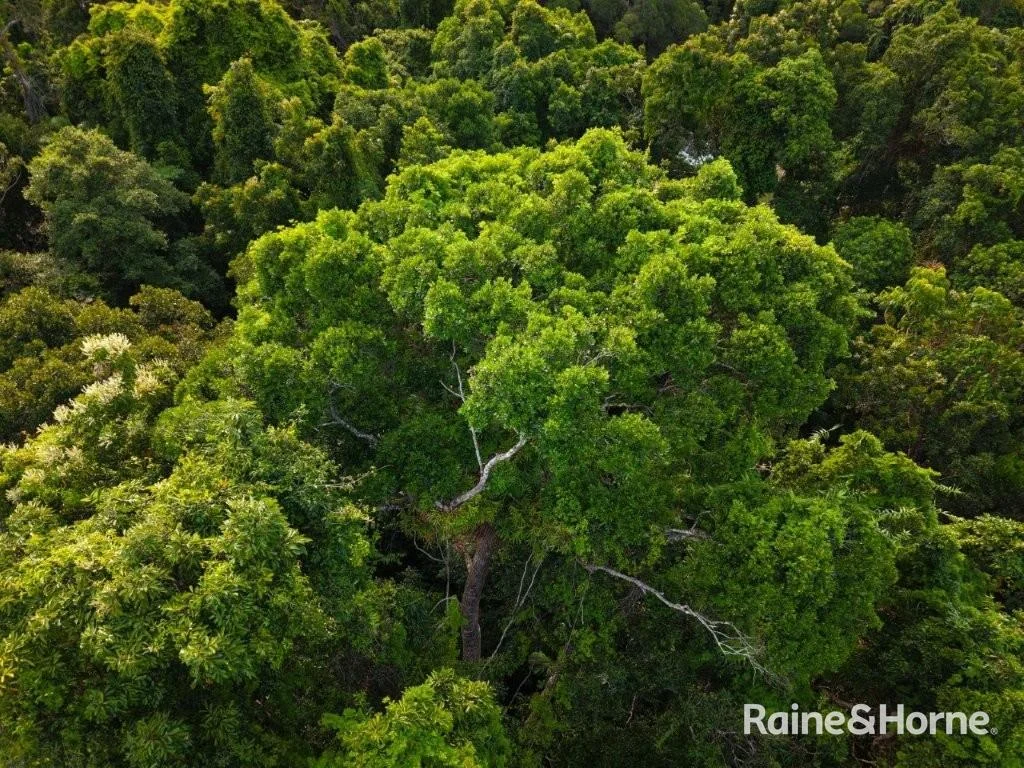 Additional image 28 of Lot 11 Milky Pine Road, Kimberley, Daintree QLD 4873