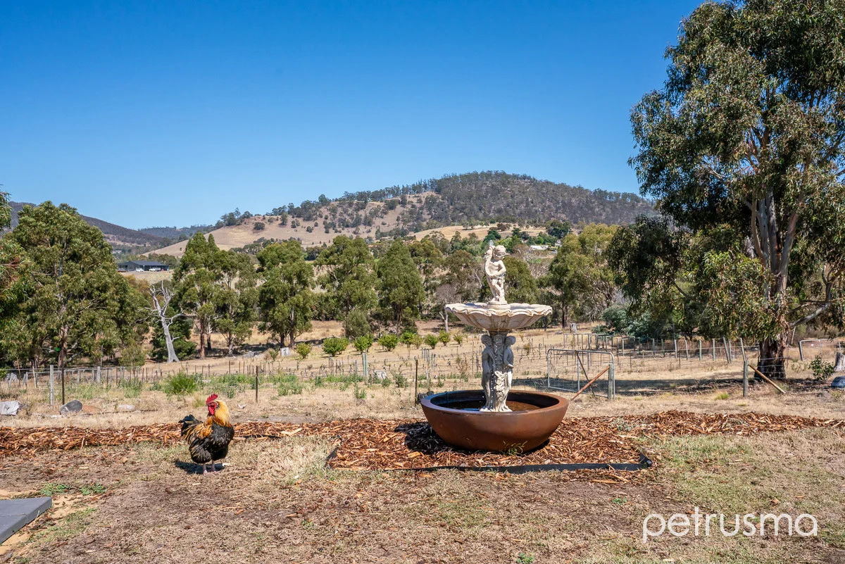 Additional image 32 of 92 Backhouse Lane, Cambridge TAS 7170