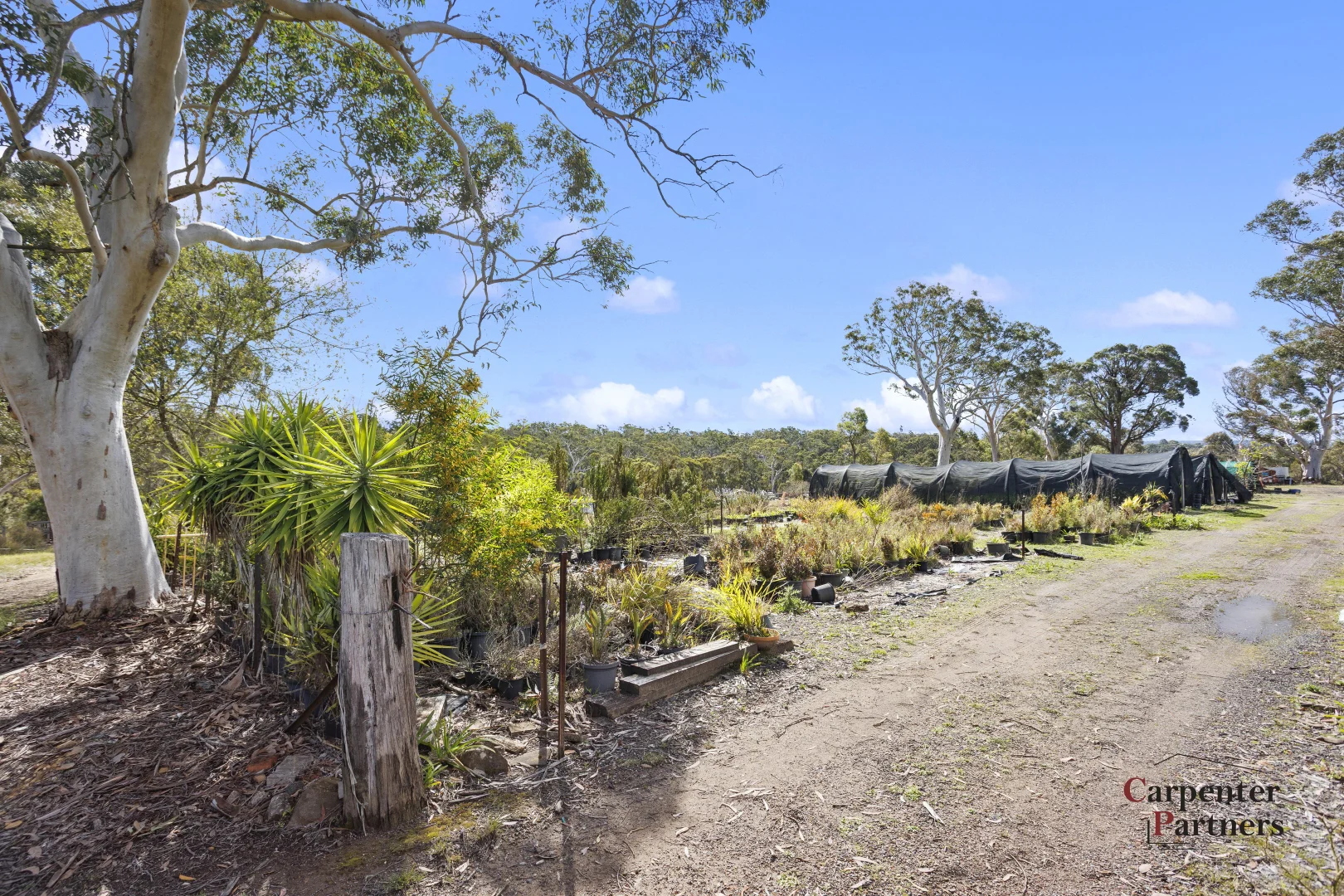 Additional image 23 of 505 Pheasants Nest Road, Pheasants Nest NSW 2574