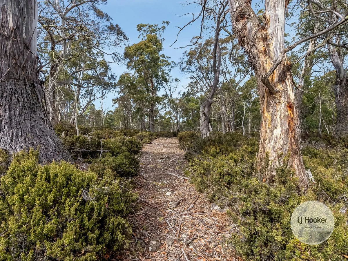 Additional image 5 of 1 Glovers Road, Bothwell TAS 7030