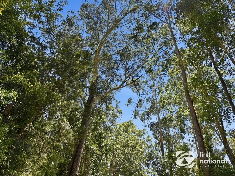 Additional image 17 of Lot 65 North Island Loop Road, Upper Orara NSW 2450