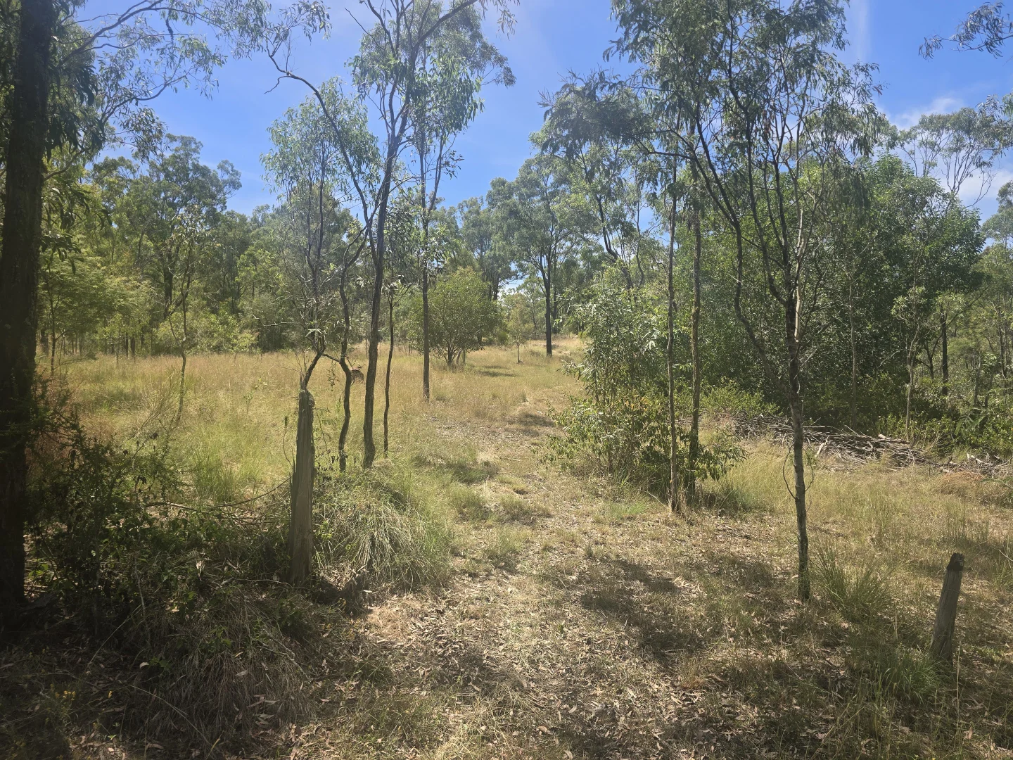 Additional image 13 of Lot 389 East Cooyar Road, Cooyar QLD 4402