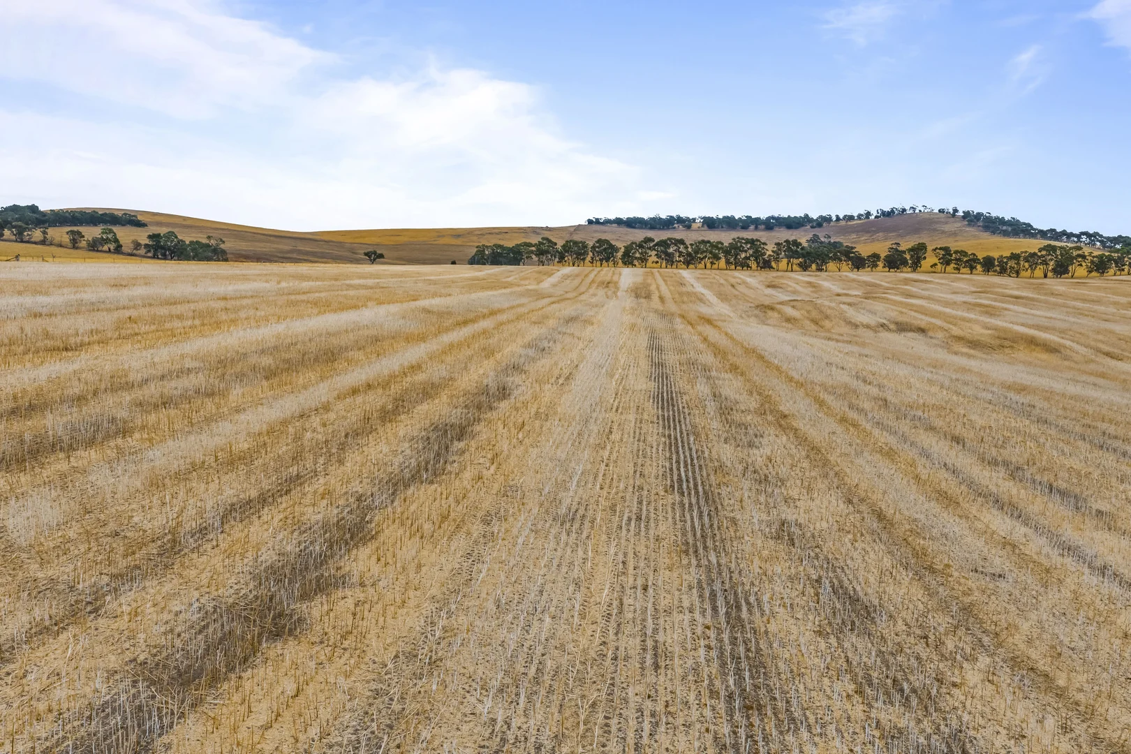 Additional image 24 of 339 Burrumbeep Road, Maroona VIC 3377