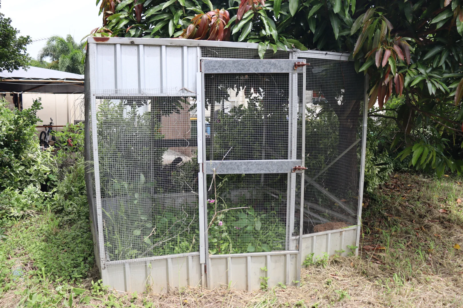 Additional image 7 of 45 Belmore St, Collinsville QLD 4804