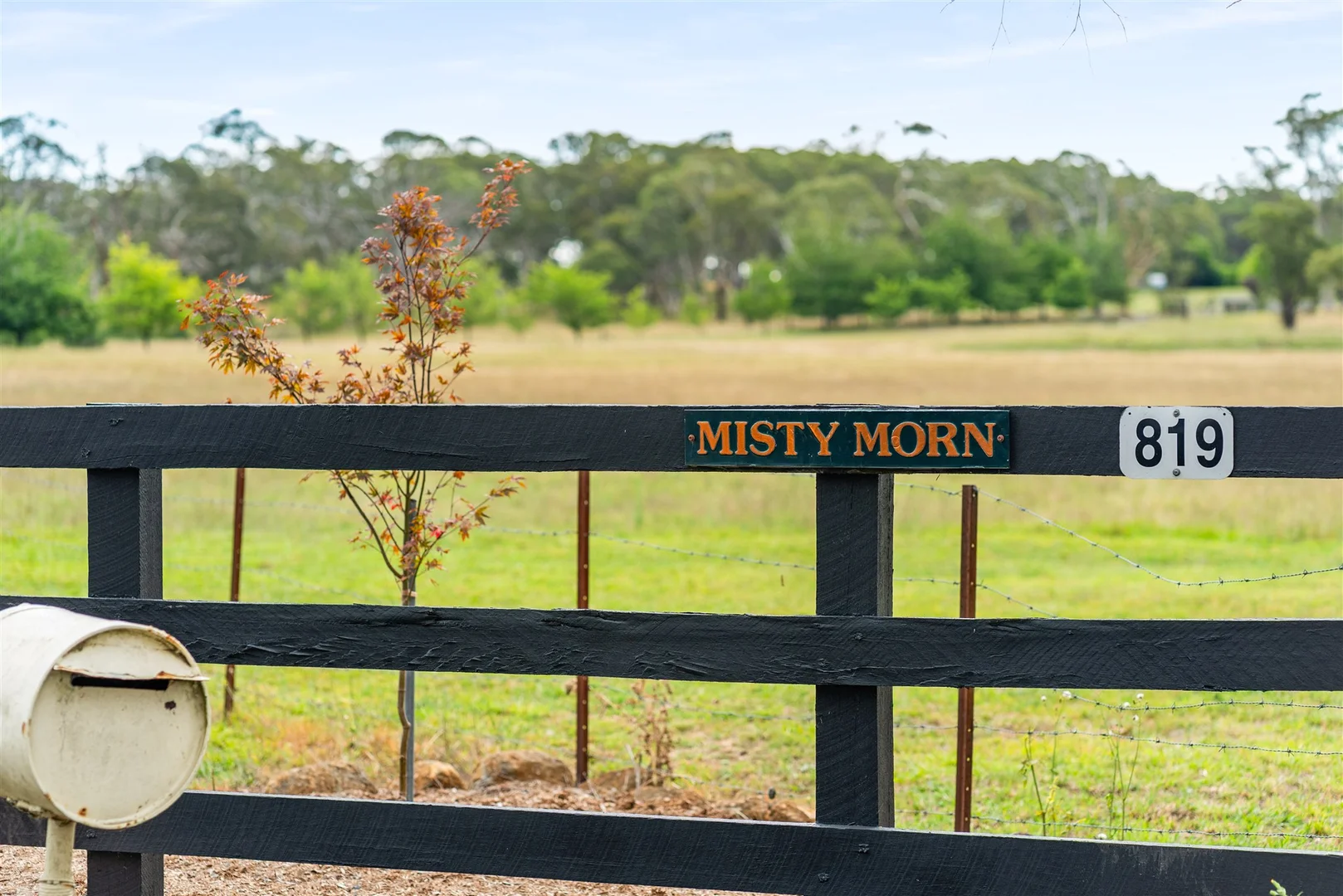 Additional image 24 of 819 Wombeyan Caves Road, High Range NSW 2575