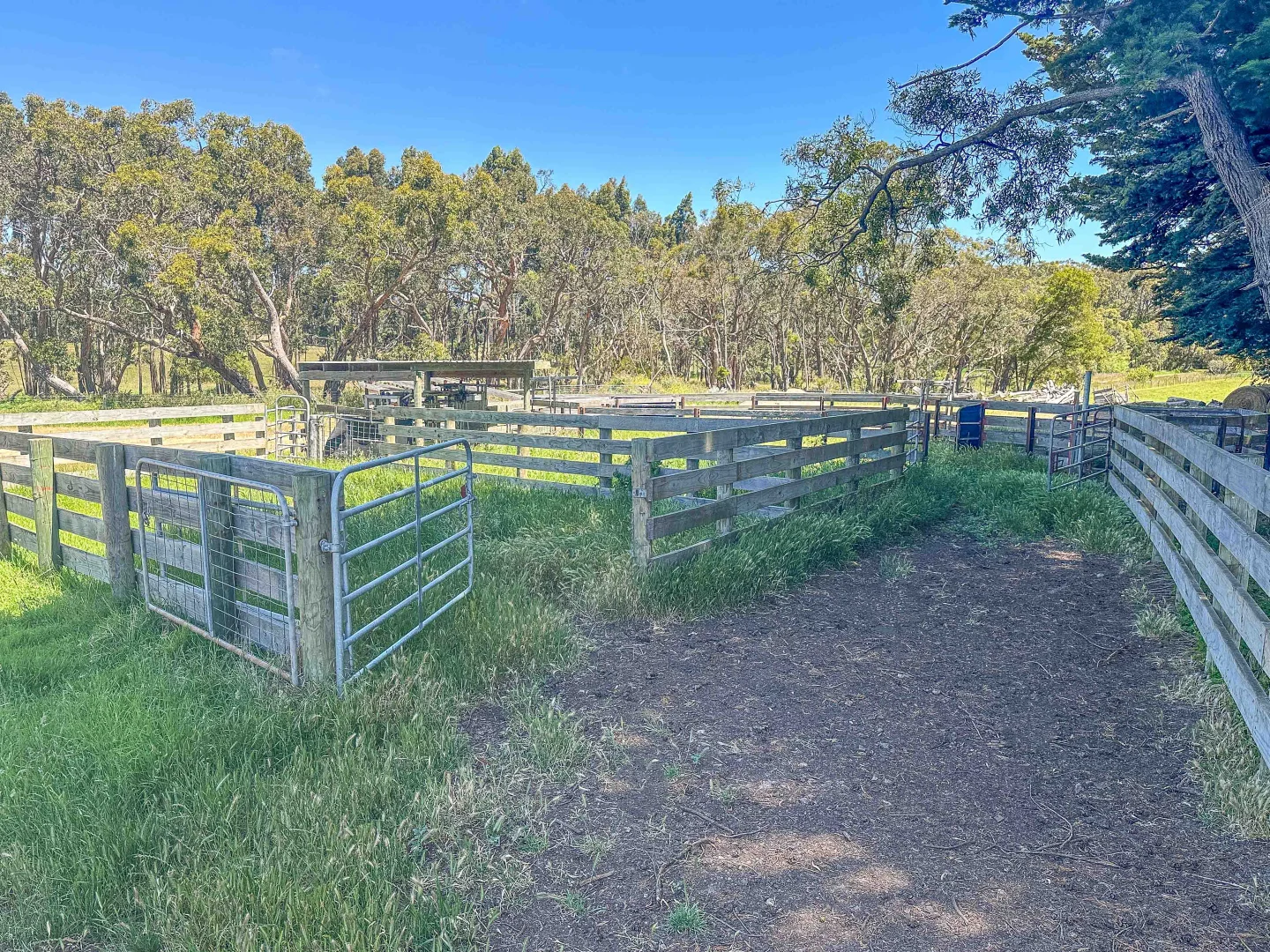 Additional image 6 of 773 Portland-Nelson Road, Gorae West VIC 3305