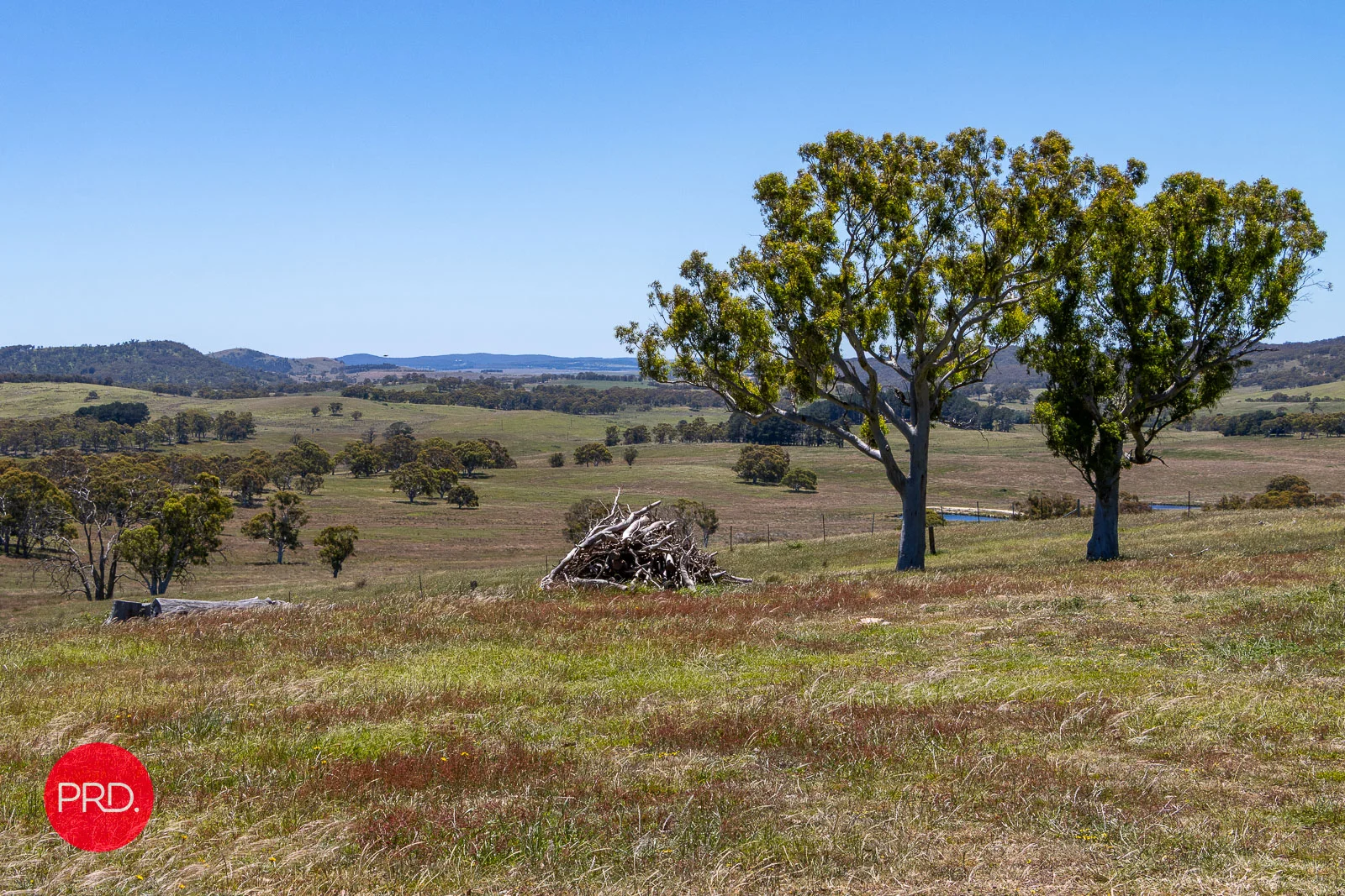 Additional image 17 of 2287 Bungendore Road, Tarago NSW 2580